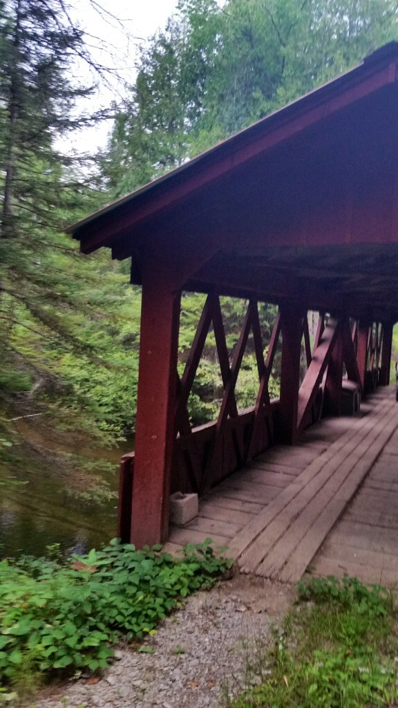 pure  Michigan Moments